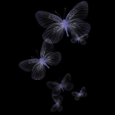 alixnsuperstxr avatar