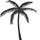 all--around--the--world avatar