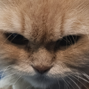 all-13-of-them avatar