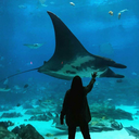 all-a-blur-now-blog avatar