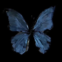 all-abigillusion avatar