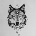 all-about-live avatar