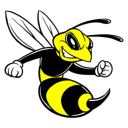 all-de-wasps avatar