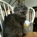 all-hail-king-jaxz avatar