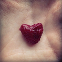 all-i-care-about-is-food avatar