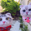 all-i-know-is-pouring-rain avatar