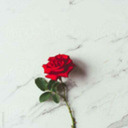 all-is-roses avatar