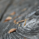 all-is-well-all-is-all-blog avatar