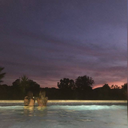 all-lies-darling-2014 avatar