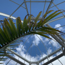 all-my-friends-r-dead avatar