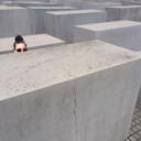 all-my-plants-are-dying avatar