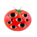 all-seeing-tomato avatar