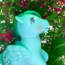 all-the-plastic-ponies avatar