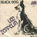 all-the-young-judes avatar