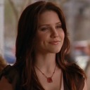 all-things-cj avatar