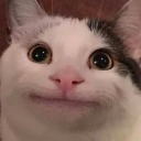 all-time-arlo avatar