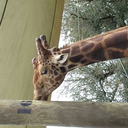 all-time-ninja364 avatar