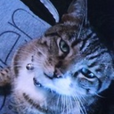 all0fthedrugs avatar