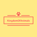 allaboutanimals avatar