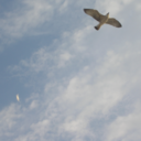 allaboutistanbul avatar