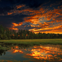 allaboutthatcas avatar