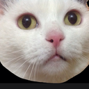 allahbenisewior avatar