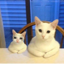 allahdiyencaner avatar