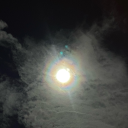 allbitesnobarks avatar