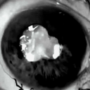 allblackbutterfly avatar