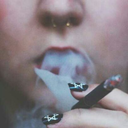 allblacknights avatar