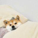 allbymyselfonline avatar