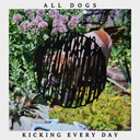 alldogsband avatar