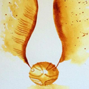 alldrarryonlydrarry avatar