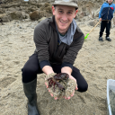 allegedscreenlooker avatar