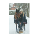 allein-in-dieser-welt avatar