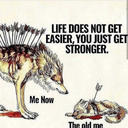 alleinegelassenerengel avatar