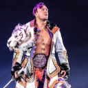 allelitewritings avatar