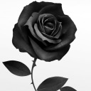 allen-was-here avatar