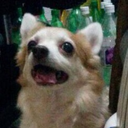 allennnnnnnnn avatar