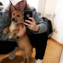 alles-is-erleuchtet avatar