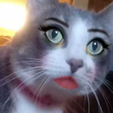 allesjaa-blog avatar