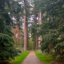 alleswatmijblijmaakt avatar