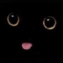 alley-cat-y2k avatar