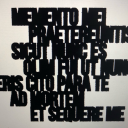 allhetouchedisdead avatar