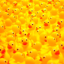alliboolovesducks avatar
