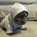 alliebrian-blog avatar