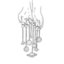 allieverdoischange avatar