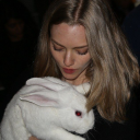 alligator2005 avatar