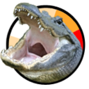 alligatorjesie avatar