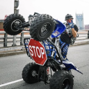 alligatorvaas avatar